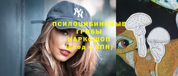 СК Белокуриха