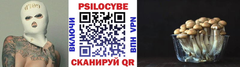 купить   Староминская  MEGA ссылка  Псилоцибиновые грибы прущие грибы 