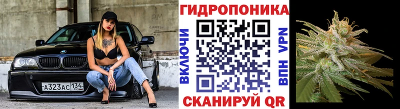 Канабис White Widow  сколько стоит  Староминская 